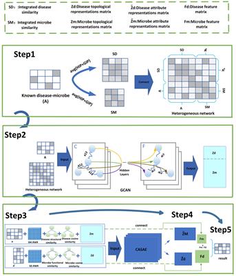 A computational model for potential microbe–disease association detection based on improved graph convolutional networks and multi-channel autoencoders